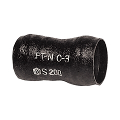 武倫柱　ブリンチュウ　10苗　抜き苗発送 武倫柱 ブリンチュウ 10苗 抜き苗発送